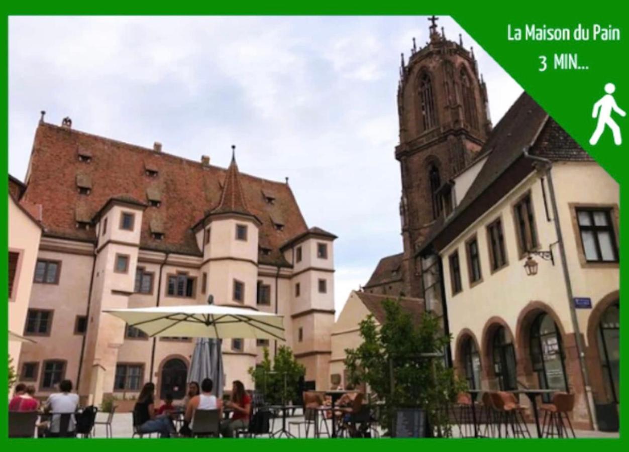 La Parenthese Alsacienne Au Coeur De Selestat Sélestat Exterior foto