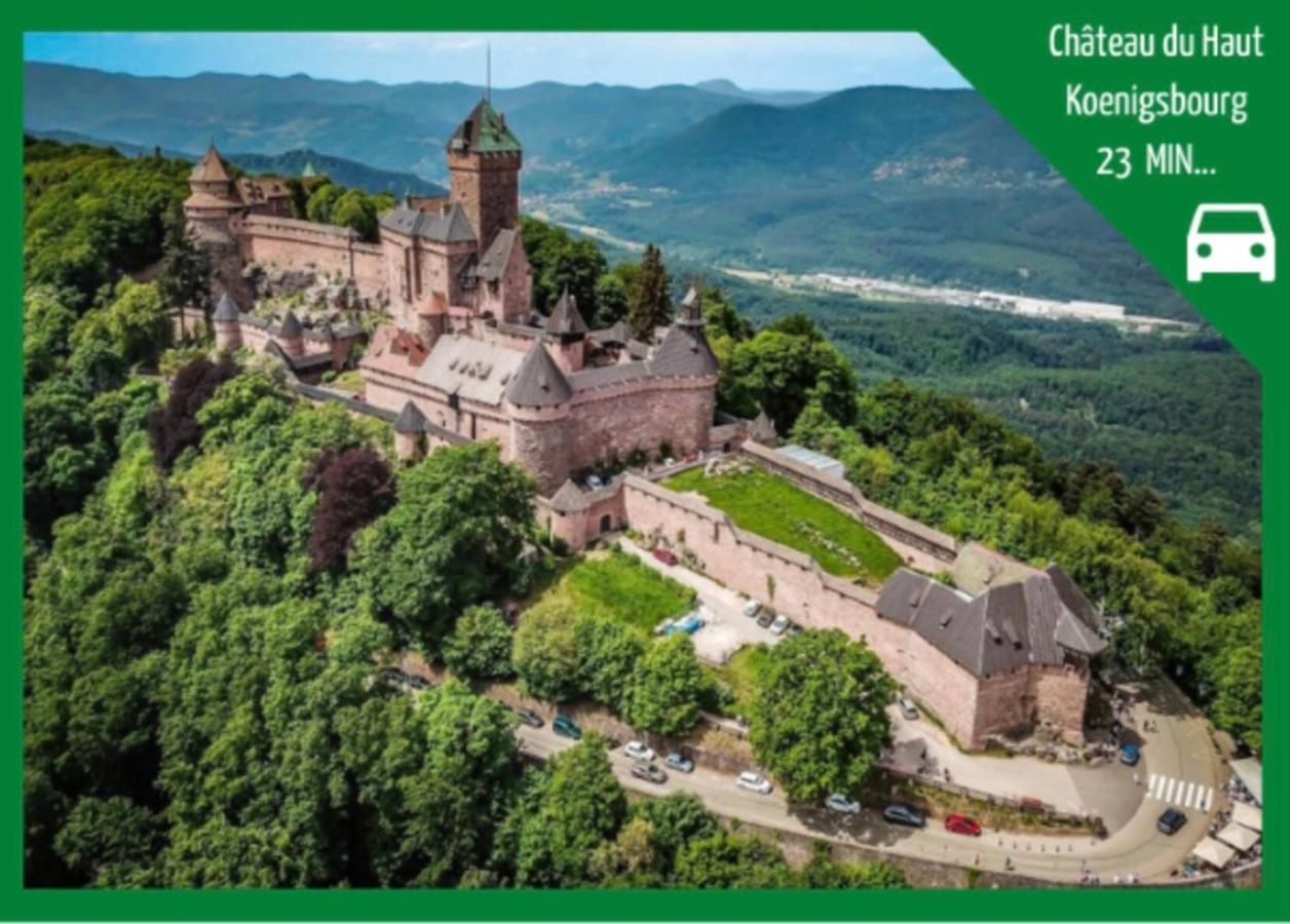 La Parenthese Alsacienne Au Coeur De Selestat Sélestat Exterior foto